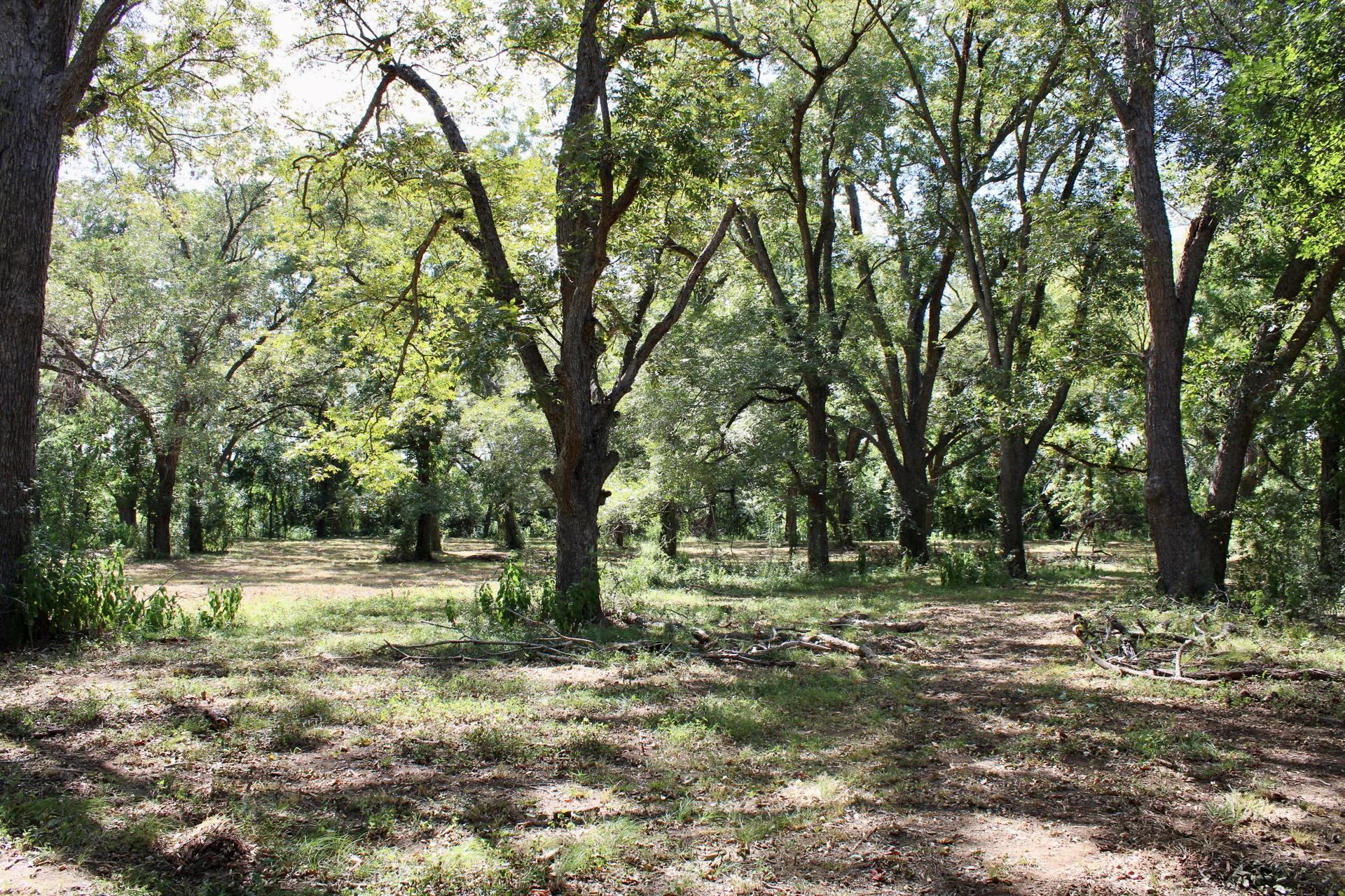 222 Powell Ln, Elgin, TX 78621