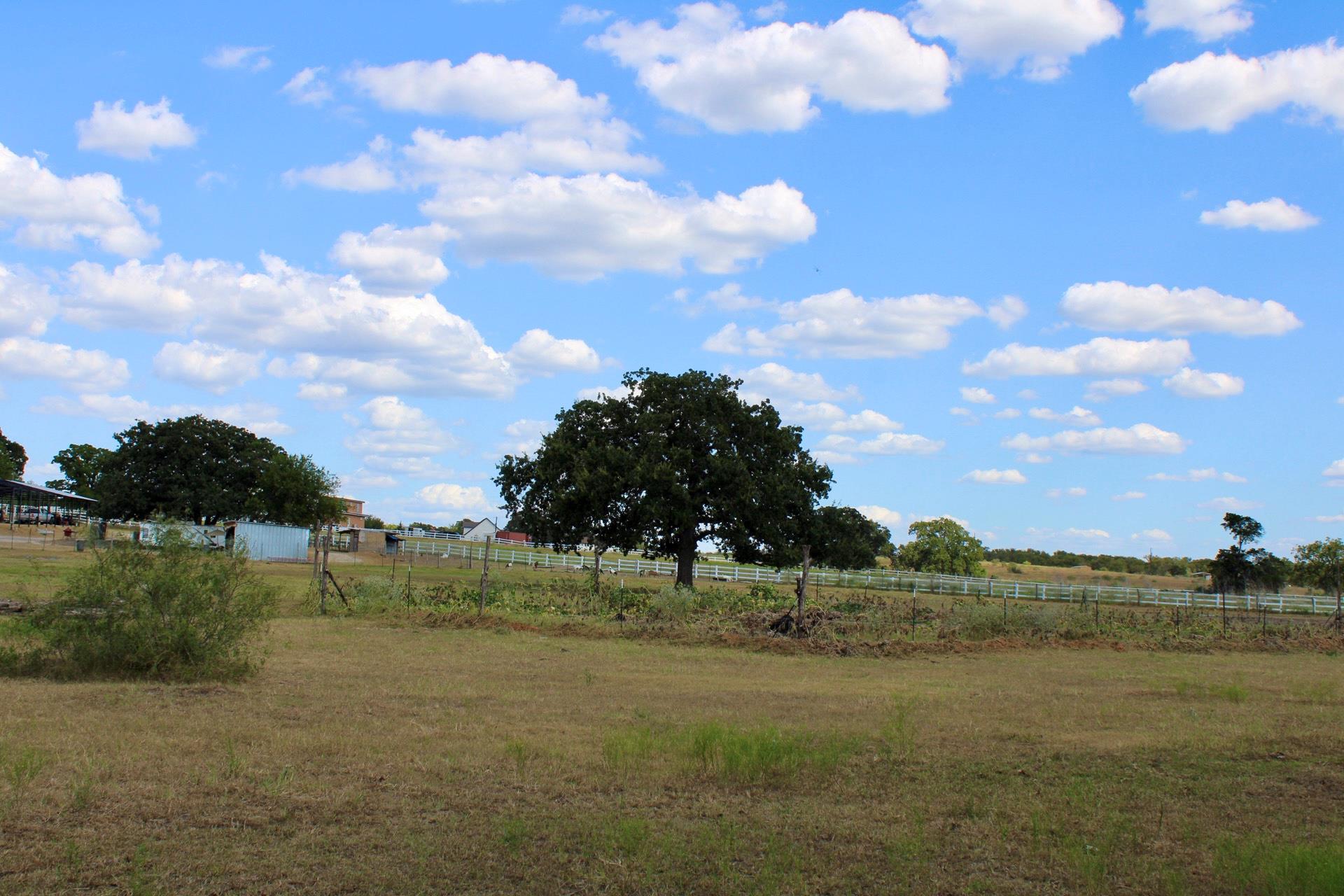 222 Powell Ln, Elgin, TX 78621