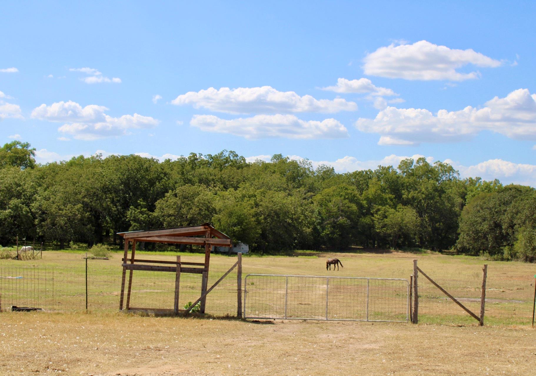 222 Powell Ln, Elgin, TX 78621