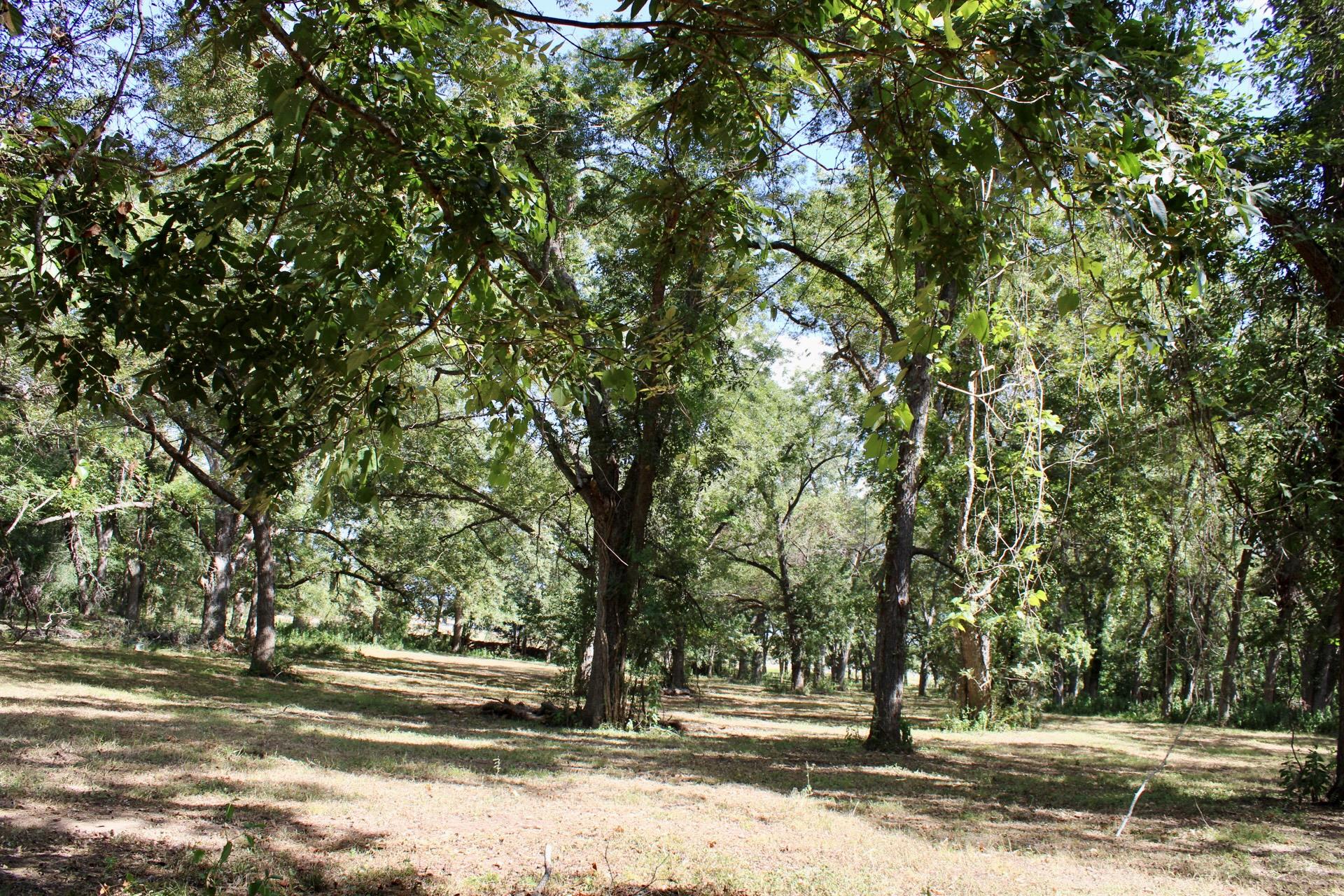 222 Powell Ln, Elgin, TX 78621