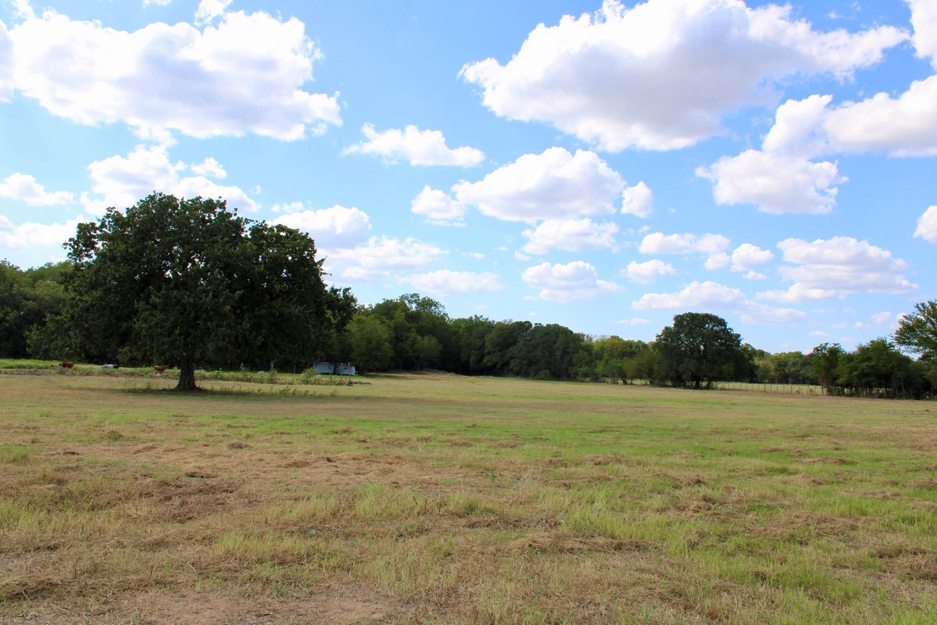 222 Powell Ln, Elgin, TX 78621