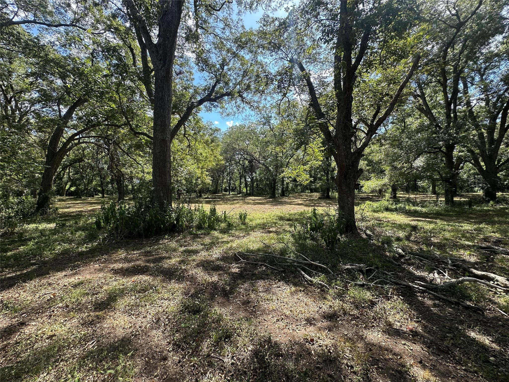 222 Powell Ln, Elgin, TX 78621