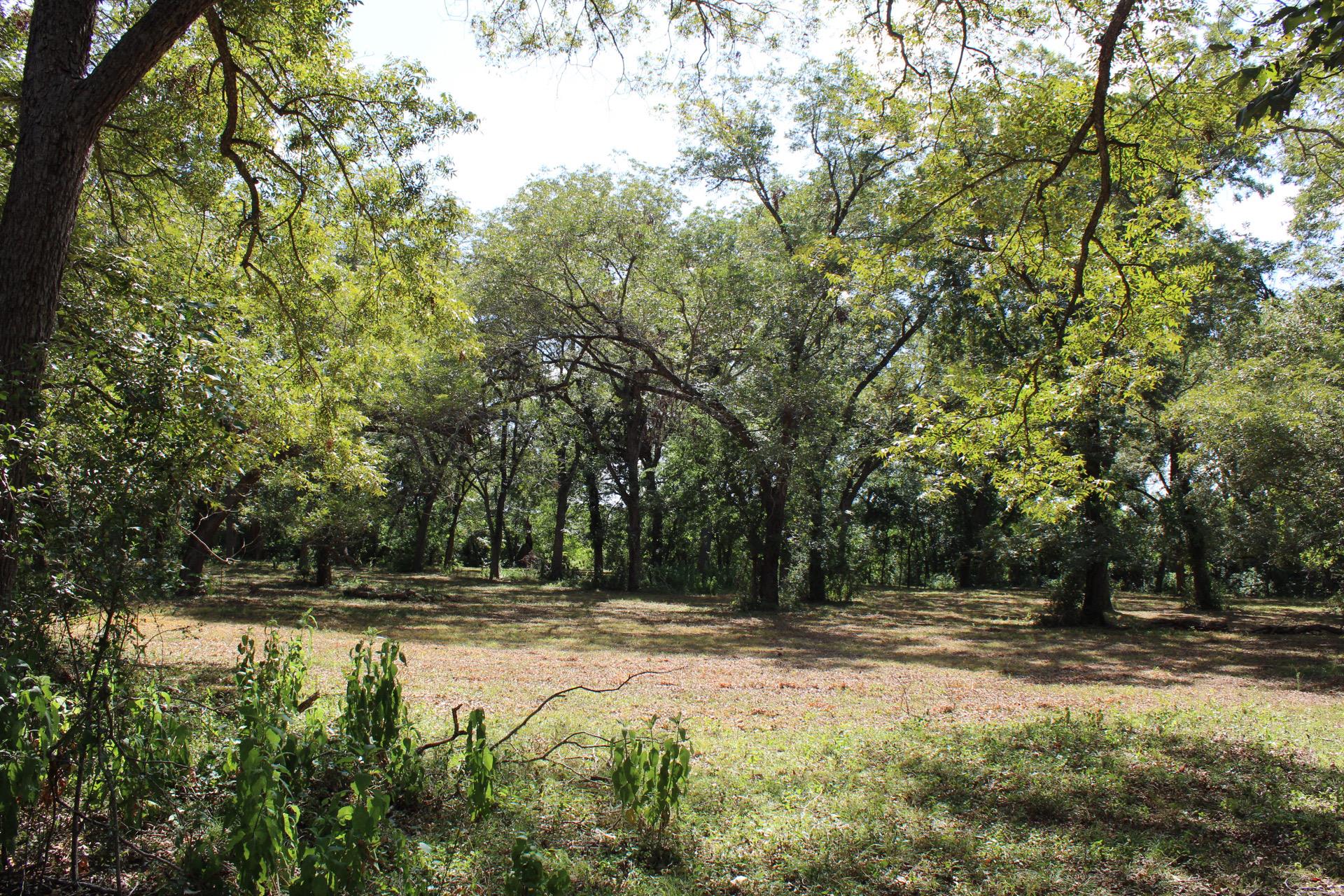 222 Powell Ln, Elgin, TX 78621