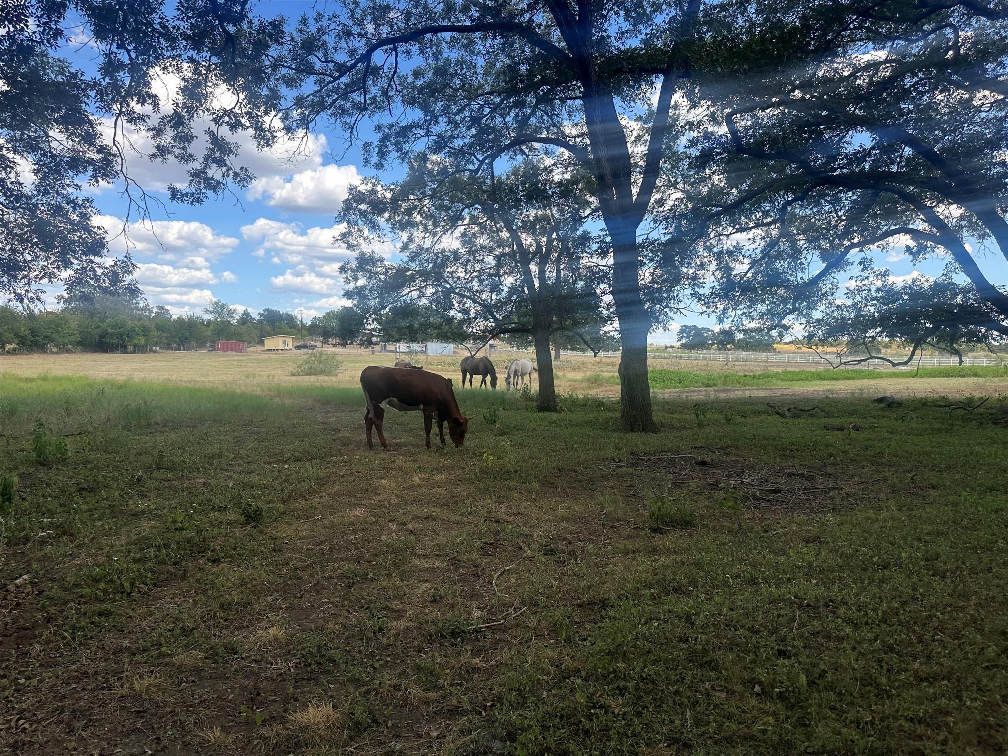 222 Powell Ln, Elgin, TX 78621