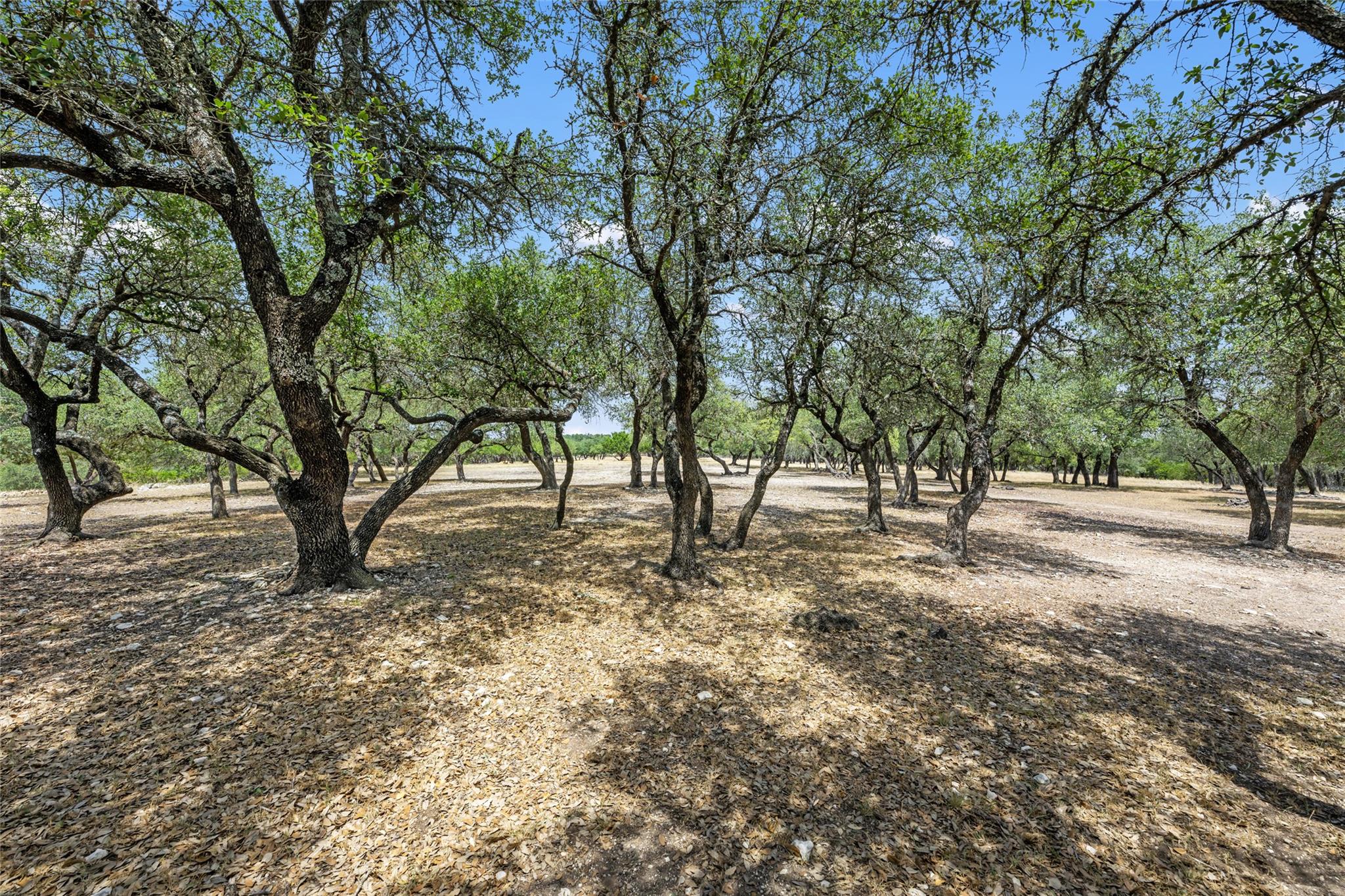 0000 South Oak Forest Dr, Dripping Springs, TX 78620