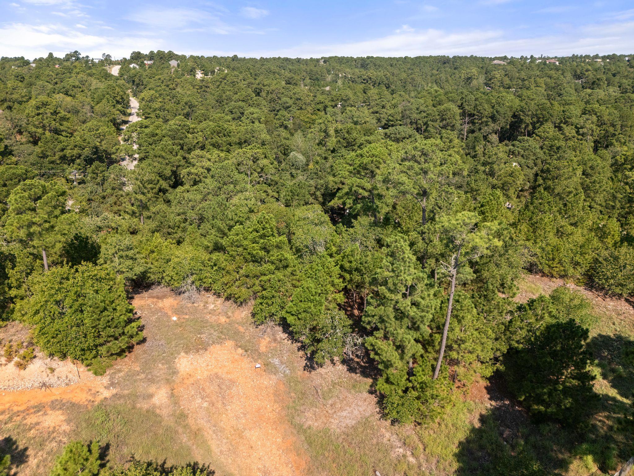 TBD Hana Ct, Bastrop, TX 78602