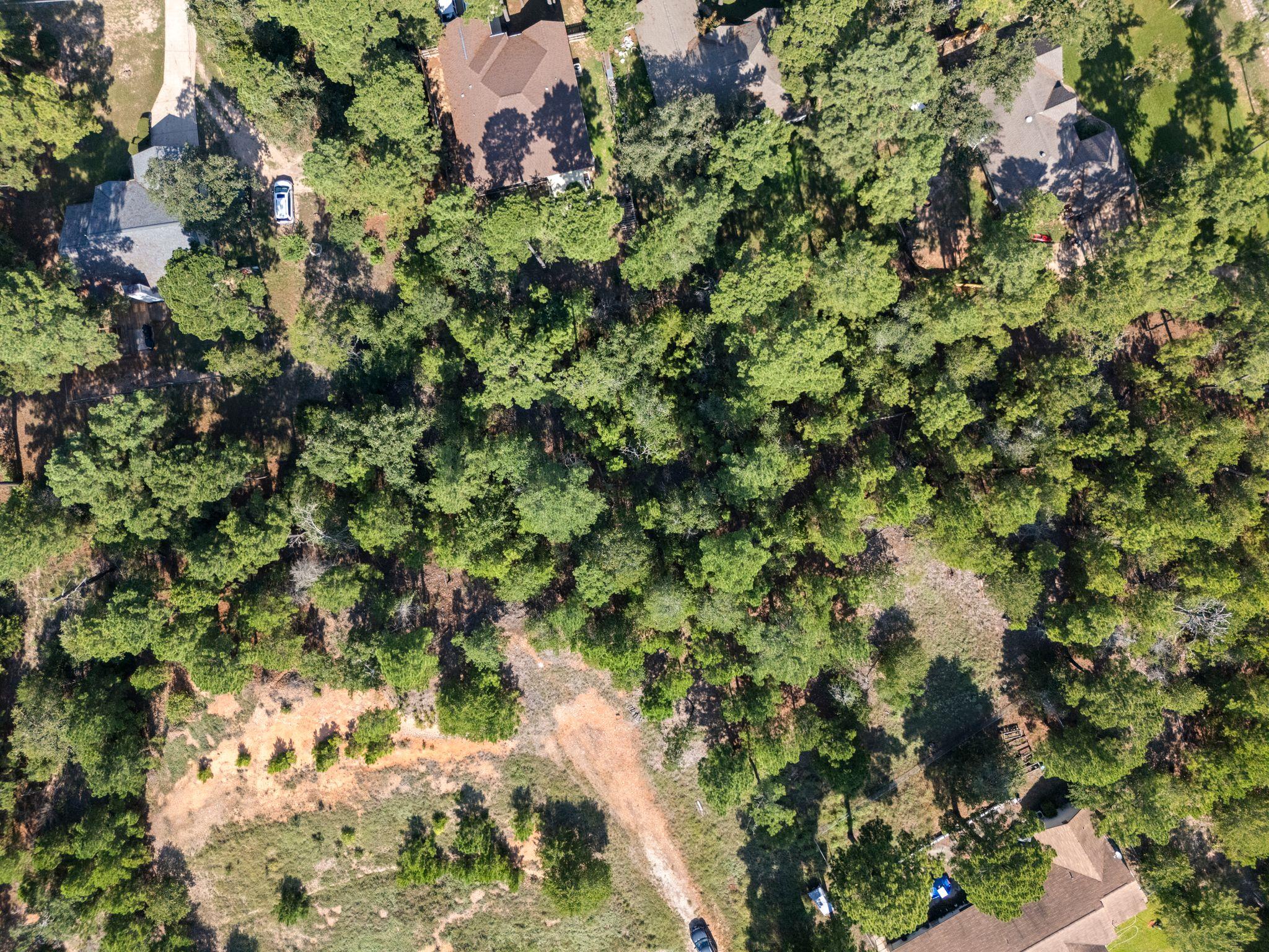 TBD Hana Ct, Bastrop, TX 78602