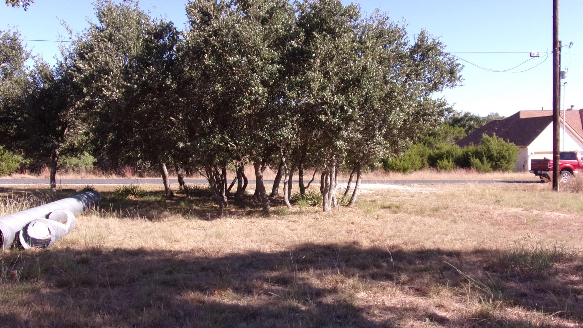 216 N Calvin Barrett Dr, Blanco, TX 78606