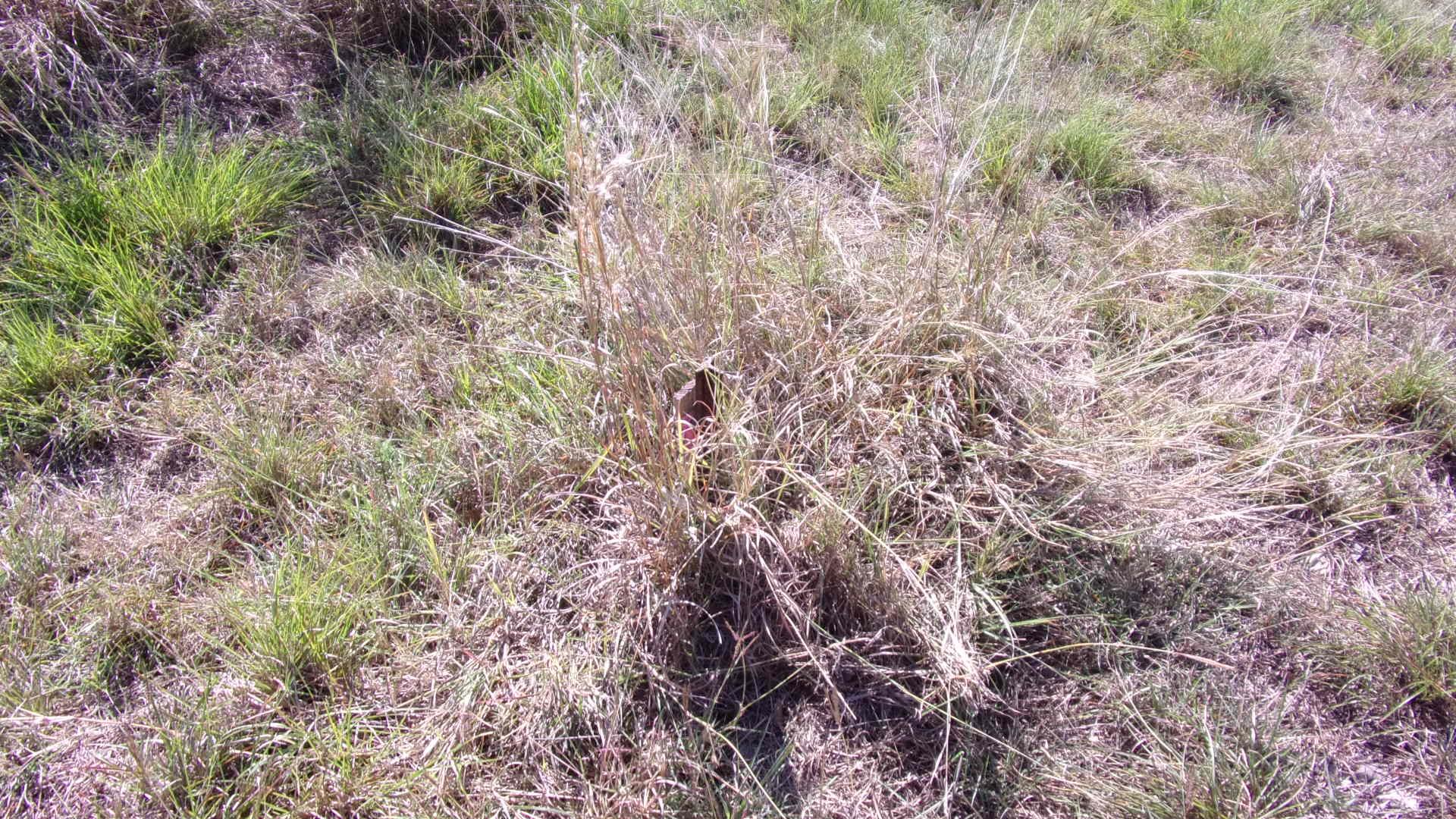 216 N Calvin Barrett Dr, Blanco, TX 78606