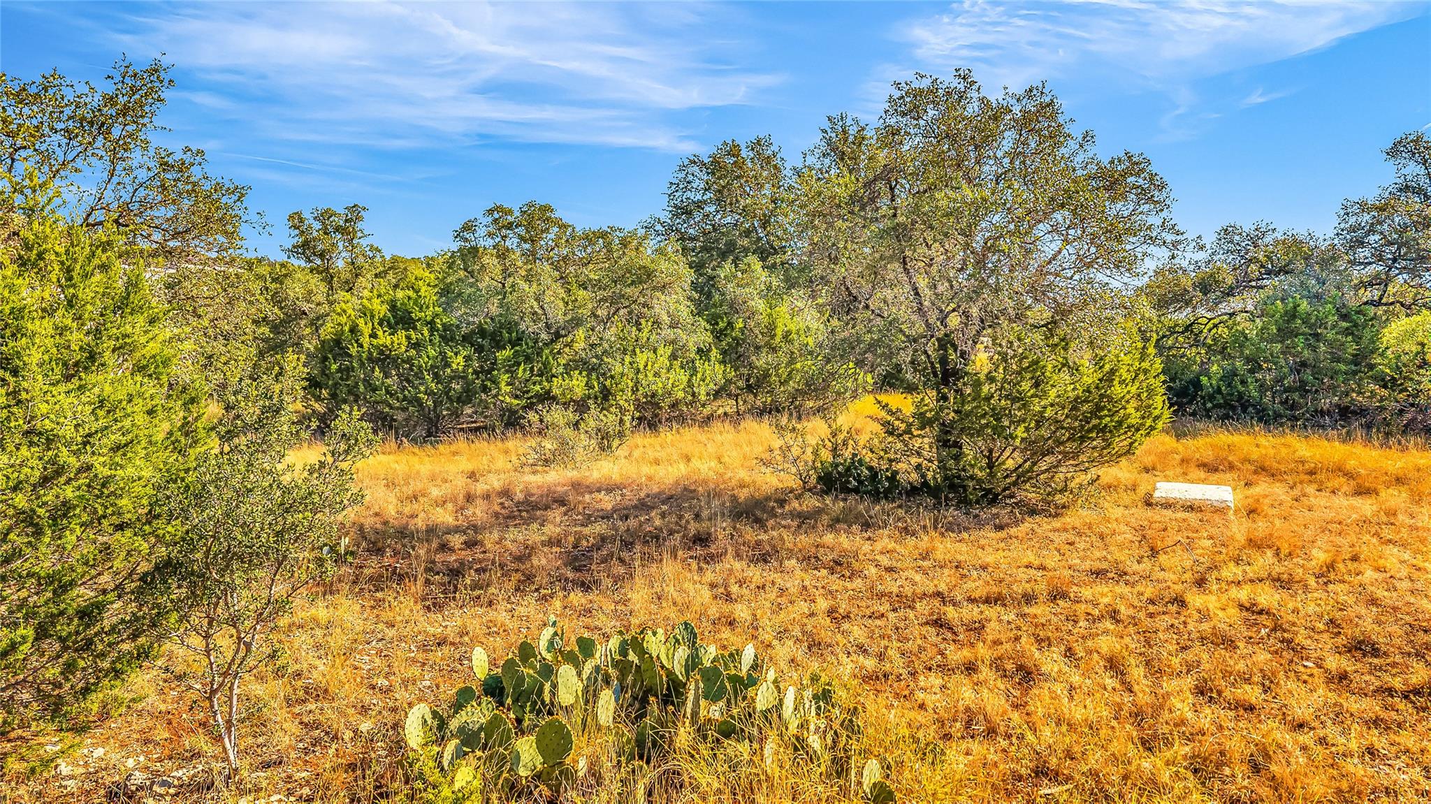 7216 Getaway Dr, Jonestown, TX 78645