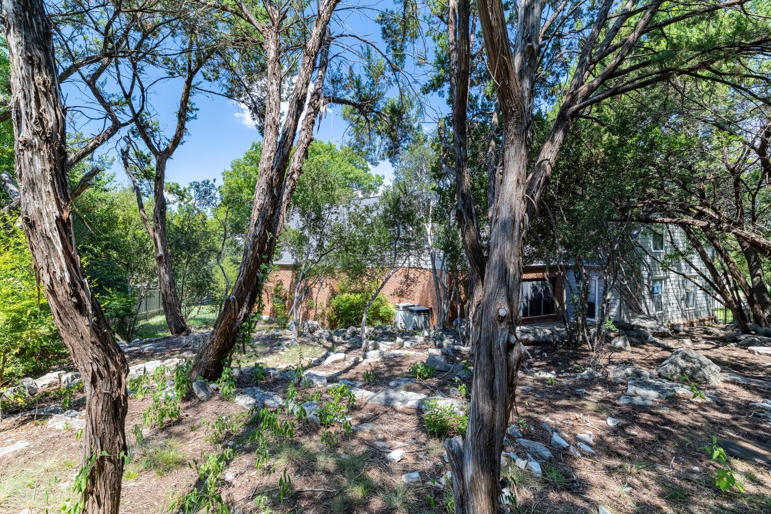 6507 Staghorn Cv, Austin, TX 78759