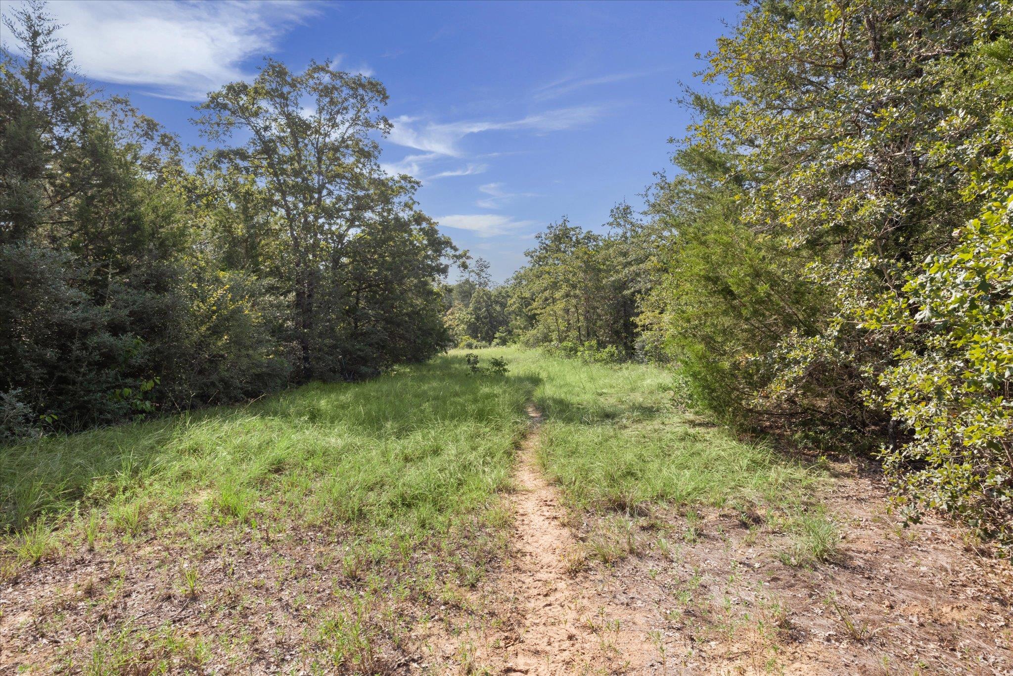 Lot 29 Walleye Creek Trl, Lexington, TX 78947