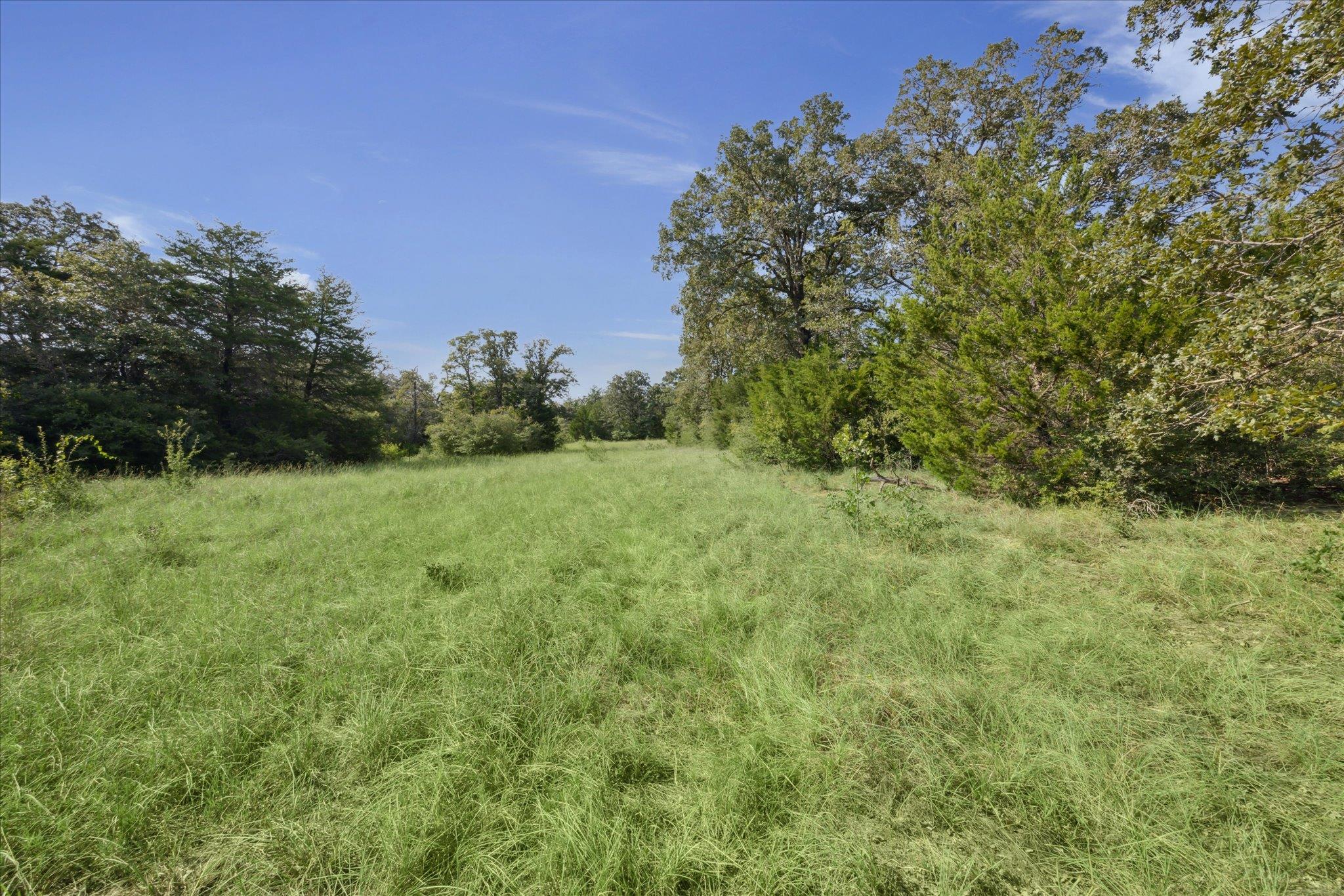 Lot 29 Walleye Creek Trl, Lexington, TX 78947