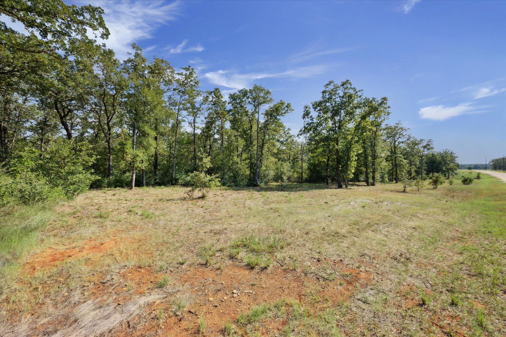 Lot 29 Walleye Creek Trl, Lexington, TX 78947