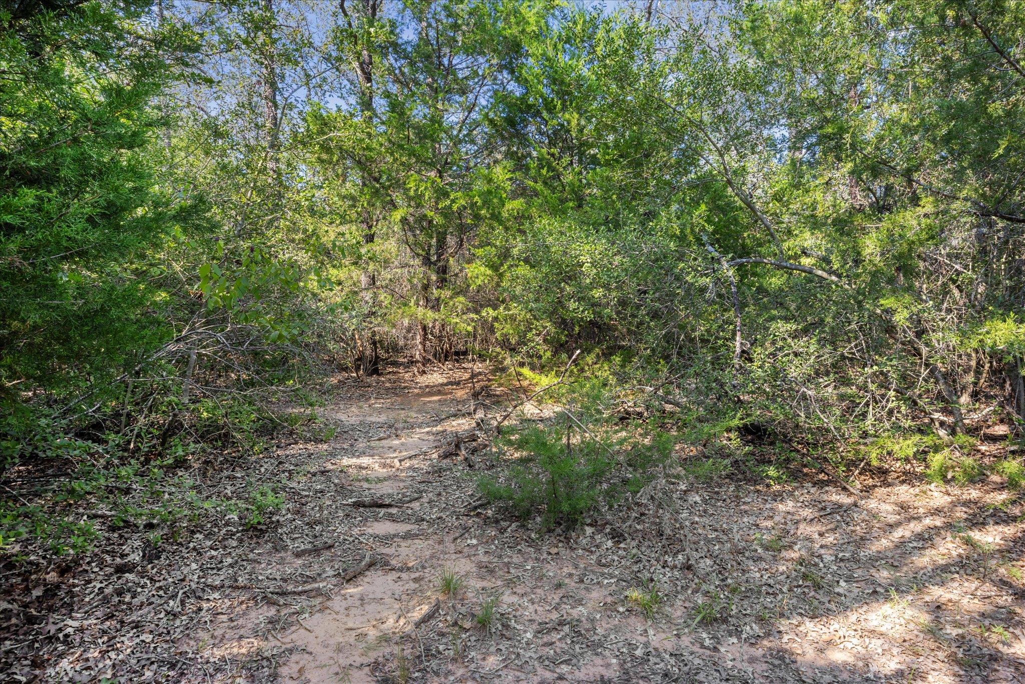 Lot 29 Walleye Creek Trl, Lexington, TX 78947