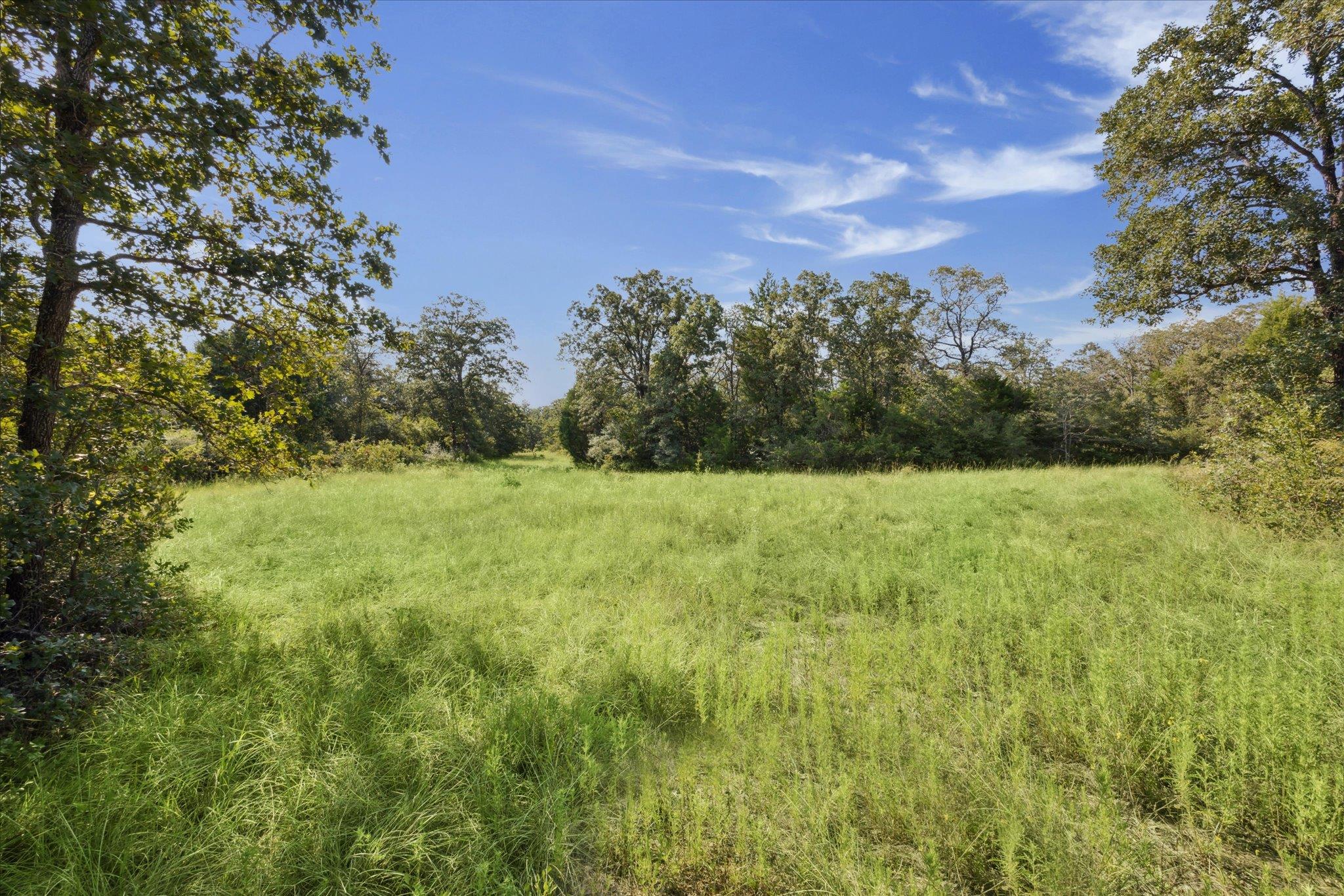 Lot 29 Walleye Creek Trl, Lexington, TX 78947