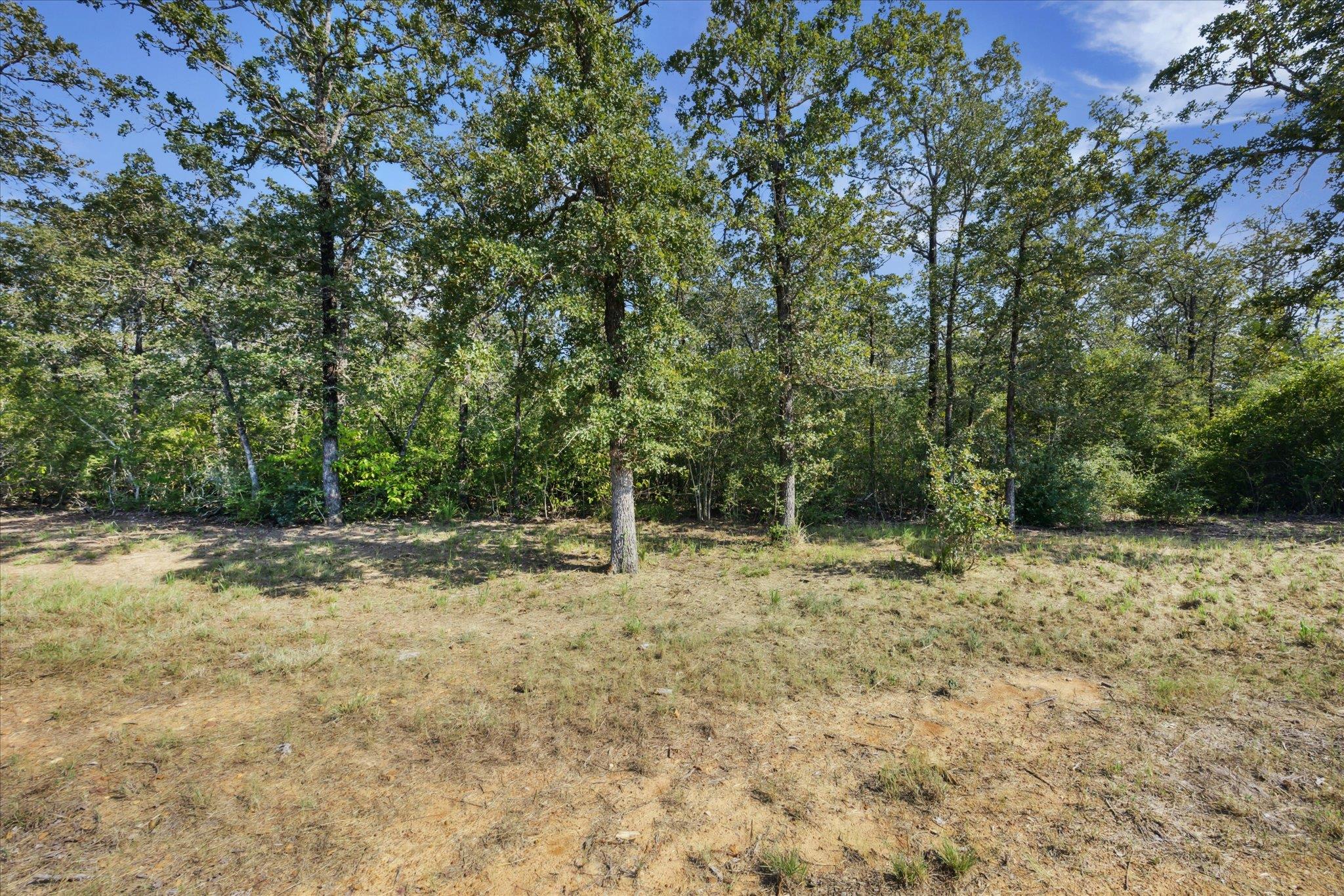 Lot 29 Walleye Creek Trl, Lexington, TX 78947