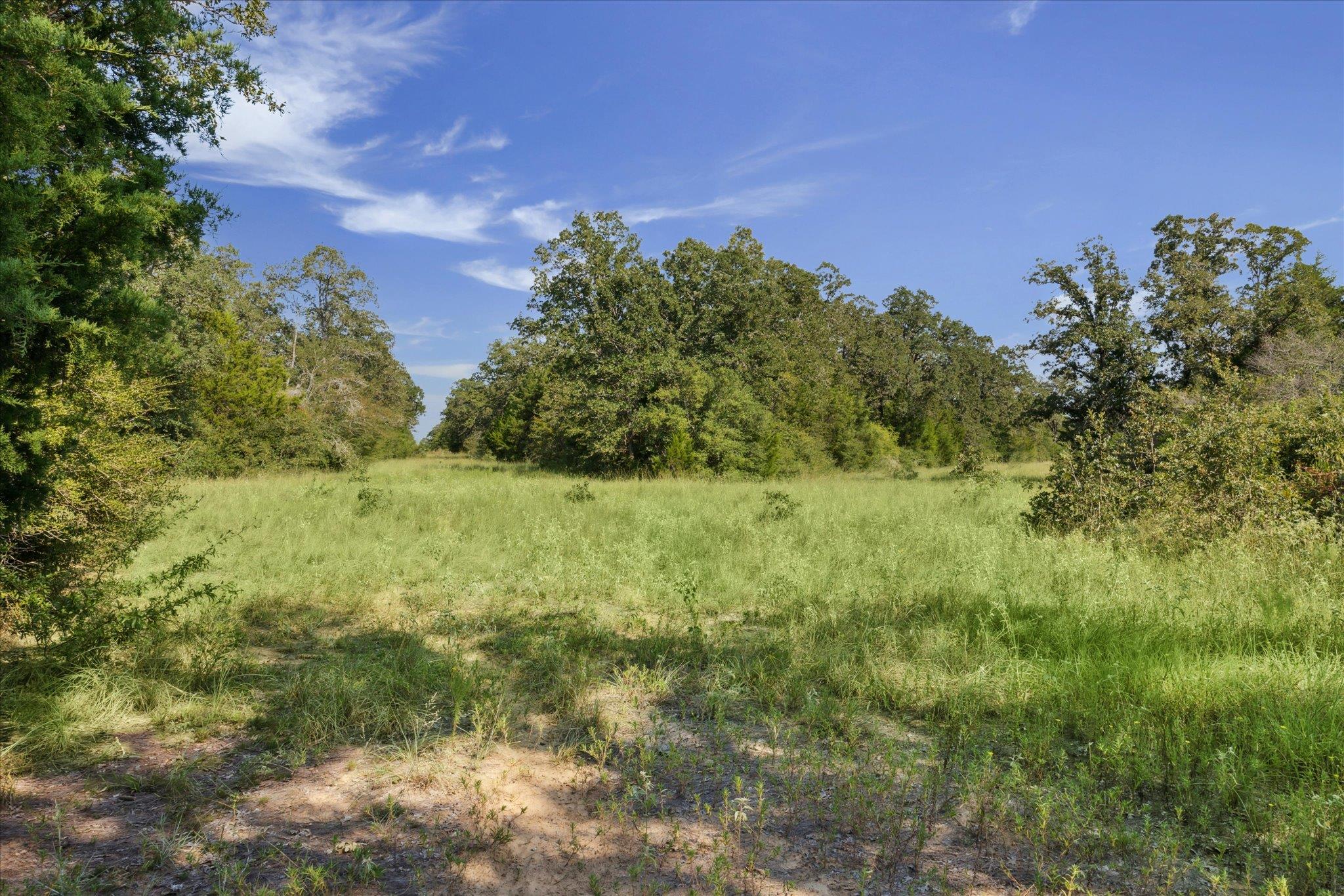 Lot 29 Walleye Creek Trl, Lexington, TX 78947