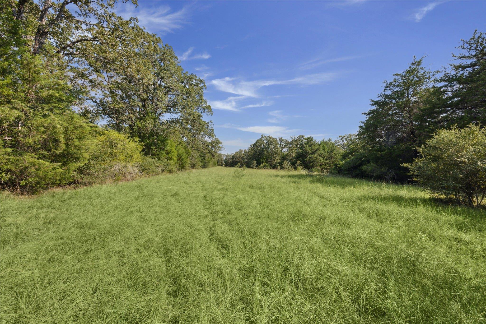 Lot 29 Walleye Creek Trl, Lexington, TX 78947