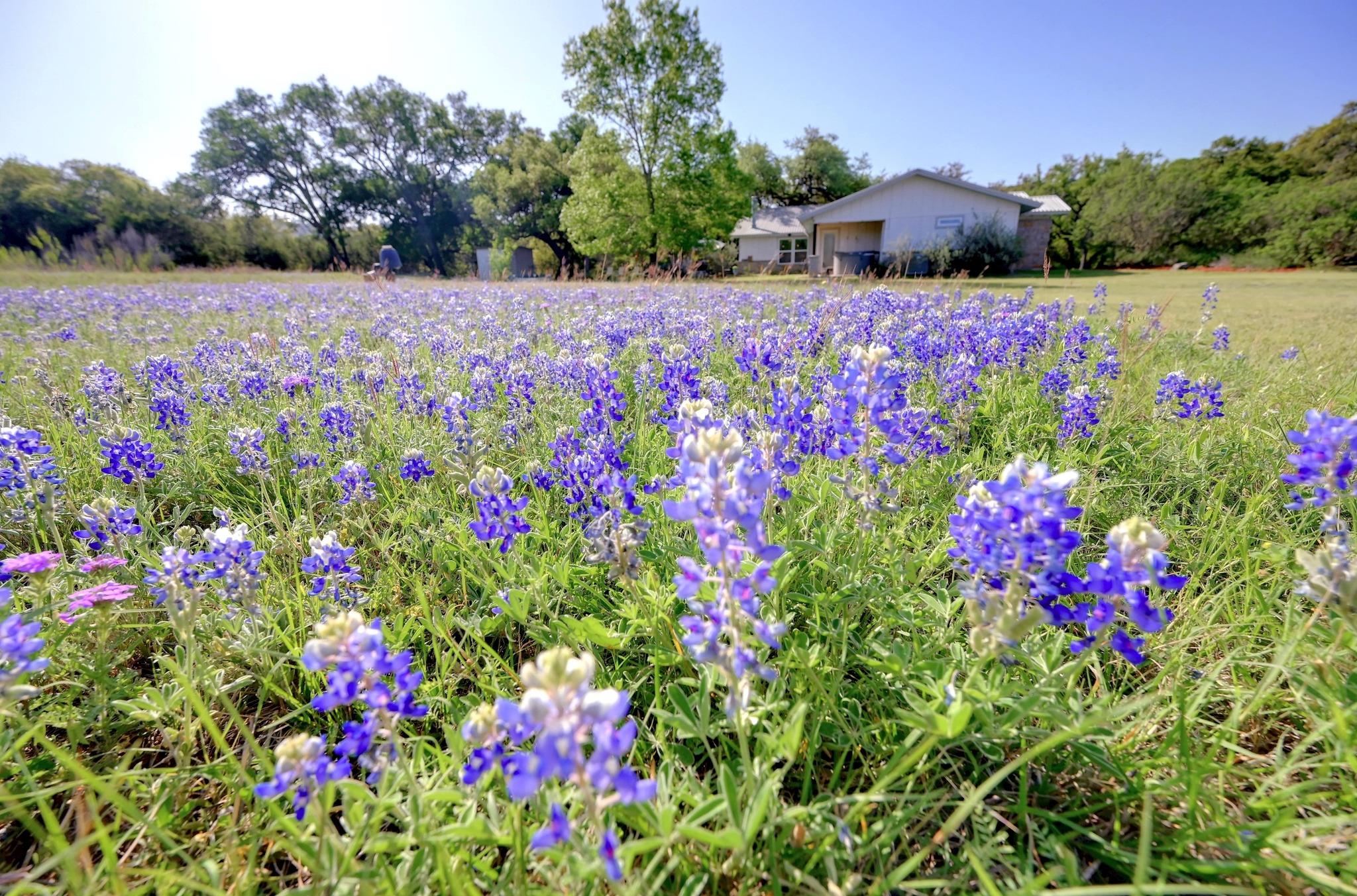 842 Cougar Dr, Canyon Lake, TX 78133