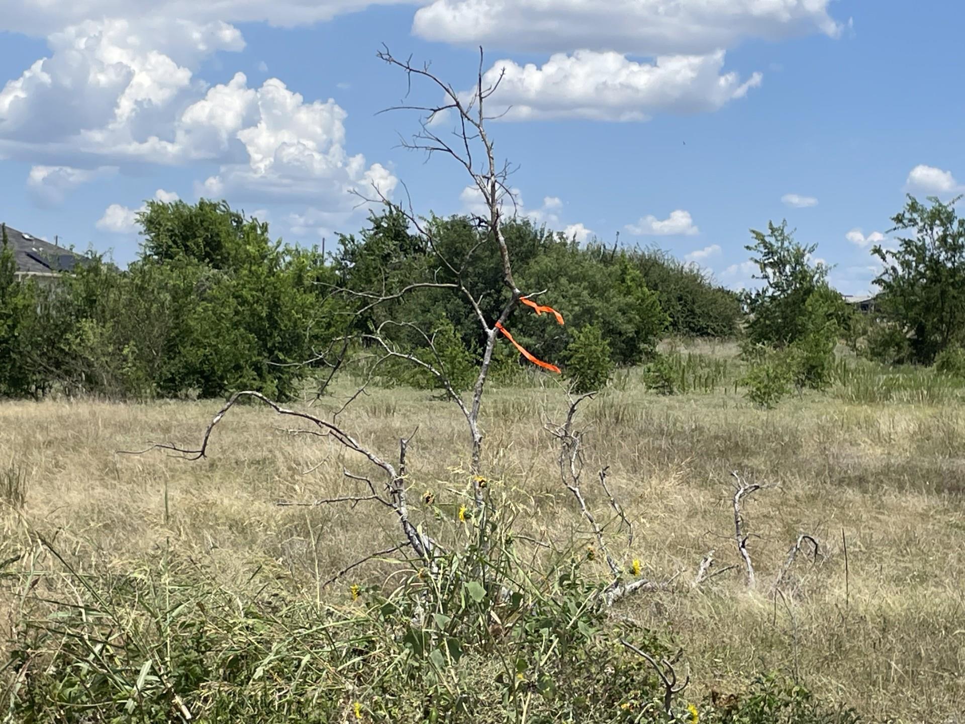 Lot 8 Evangeline Ln, Hutto, TX 78634
