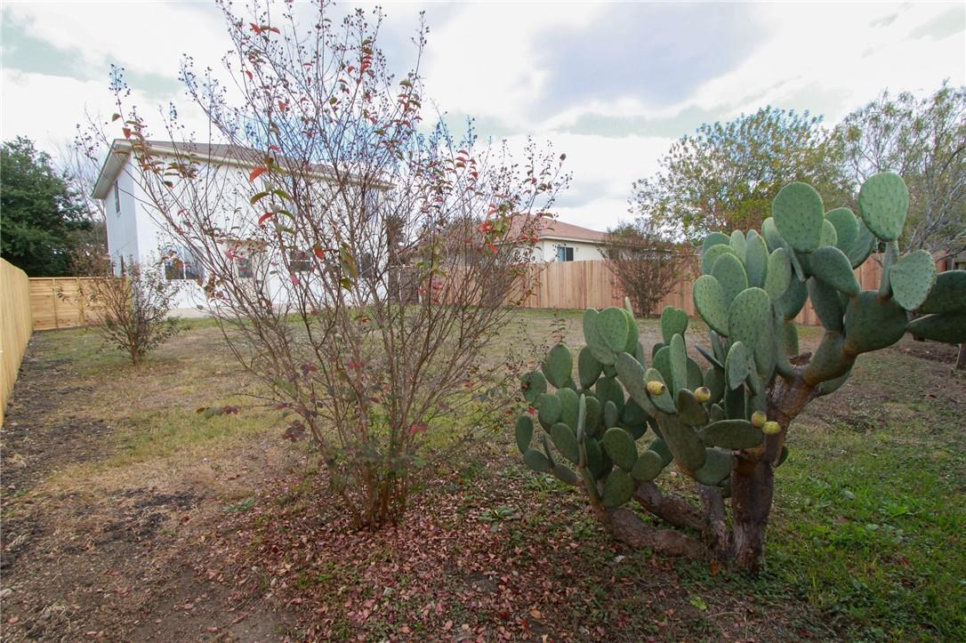 14909 Chamberlain Ct, Austin, TX 78724