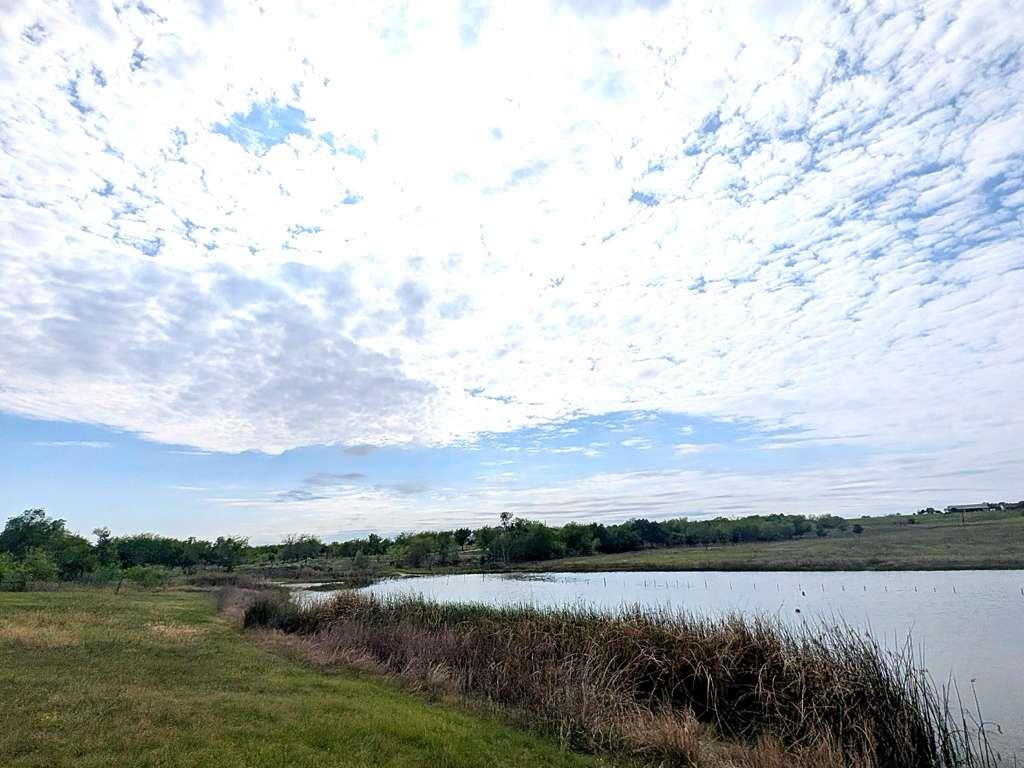 1644 county road 139, Hutto, TX 78634