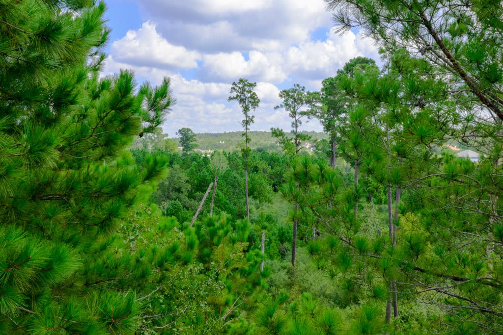 132 Mamalu Dr, Bastrop, TX 78602