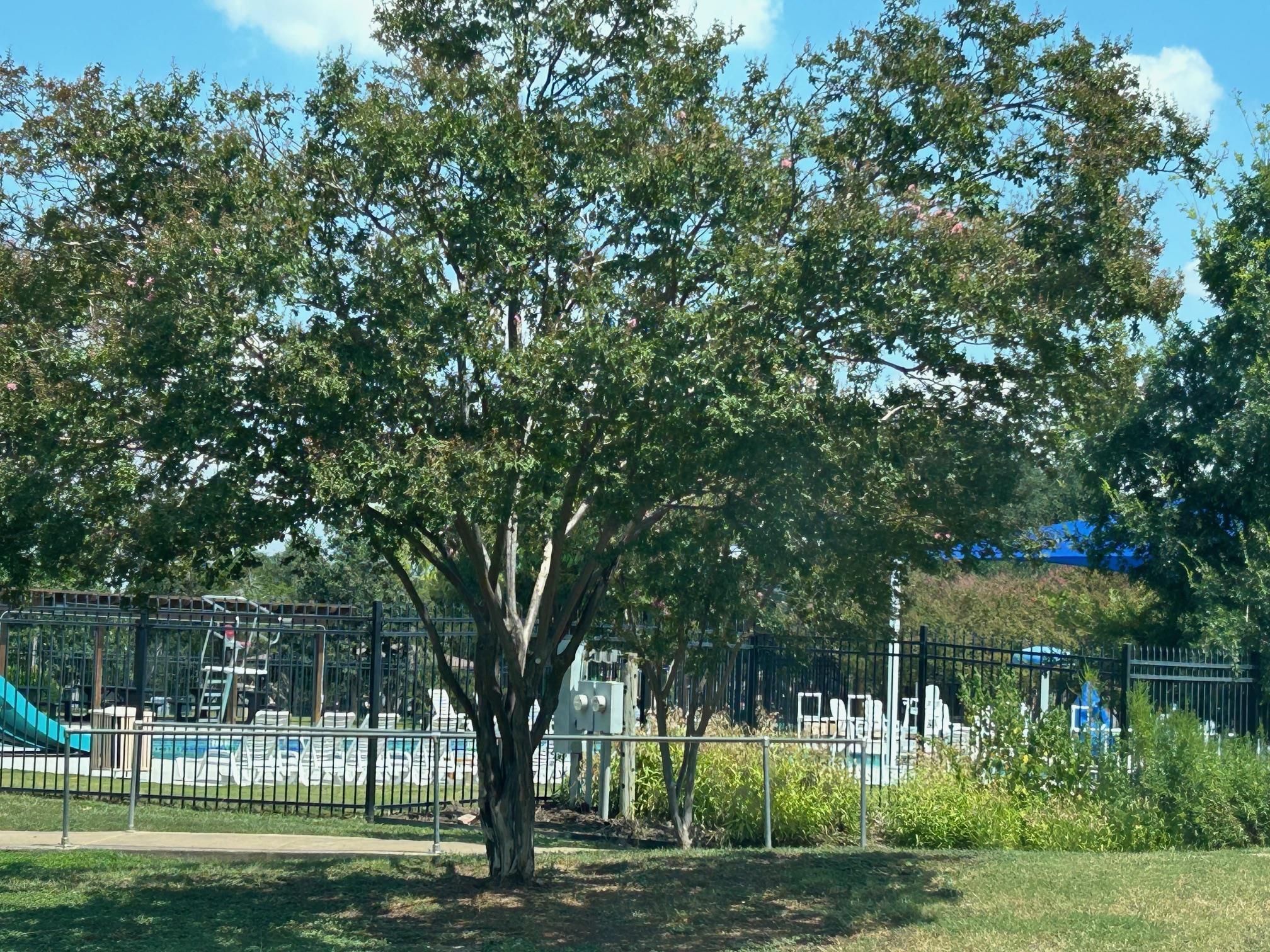 5000 Cleves St, Round Rock, TX 78681