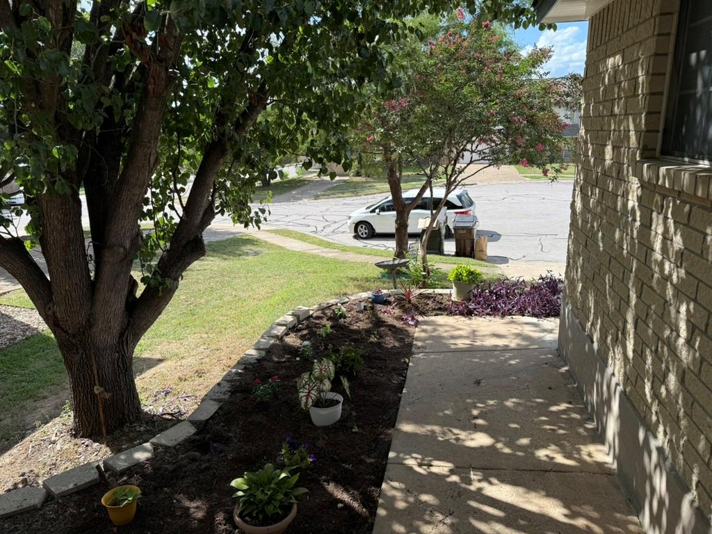 1707 Morningside Cv, Round Rock, TX 78664