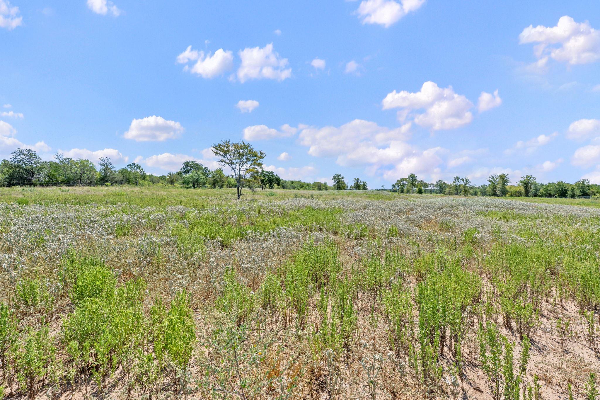 1385 Pettytown Rd, Dale, TX 78616