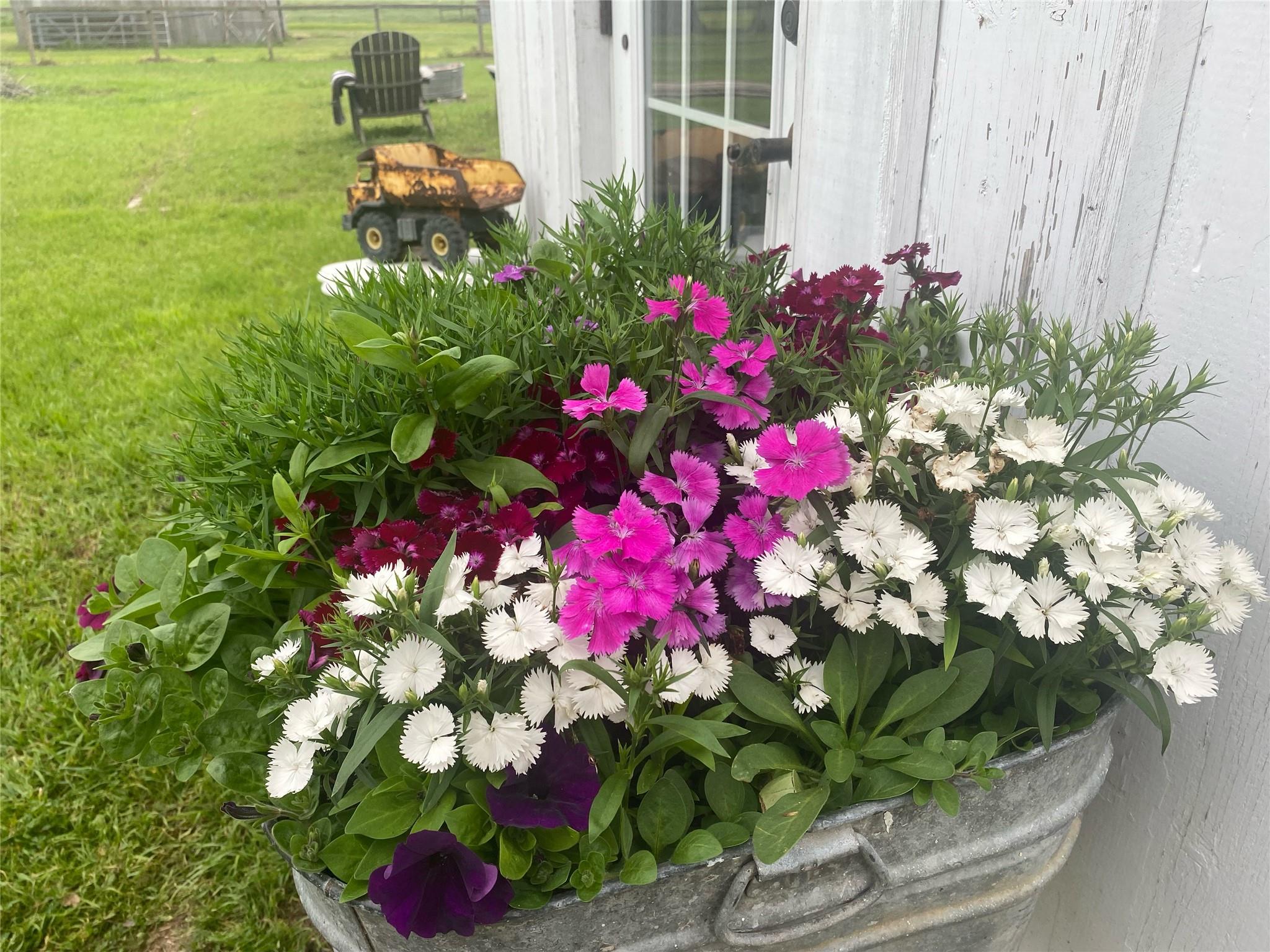 395 Centennial St, Carmine, TX 78932