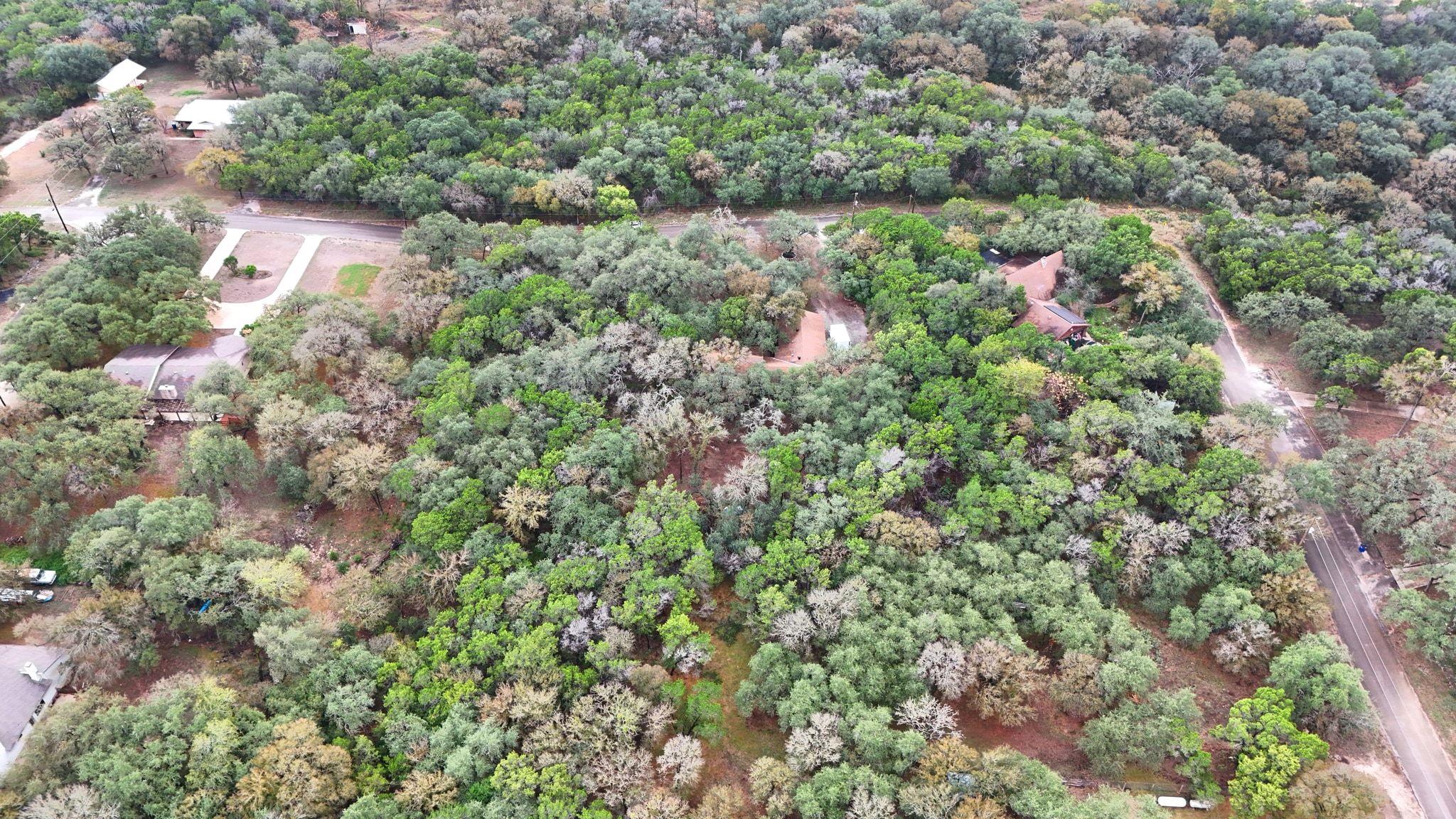 771 Mary Preiss Dr, New Braunfels, TX 78132