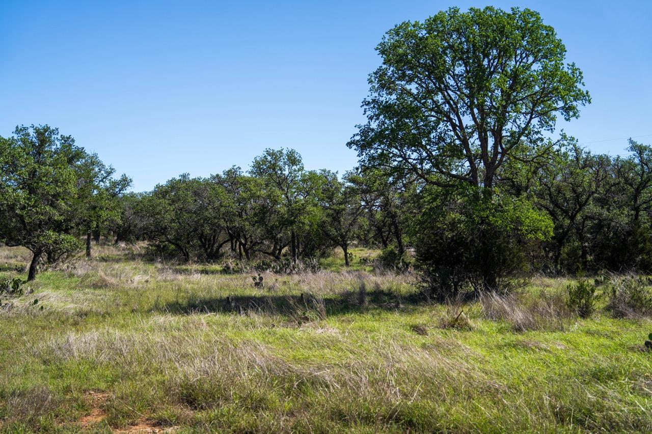 62 Balcones Dr, Johnson City, TX 78636