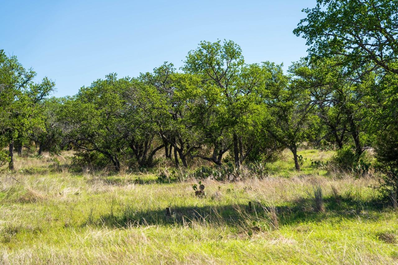 62 Balcones Dr, Johnson City, TX 78636