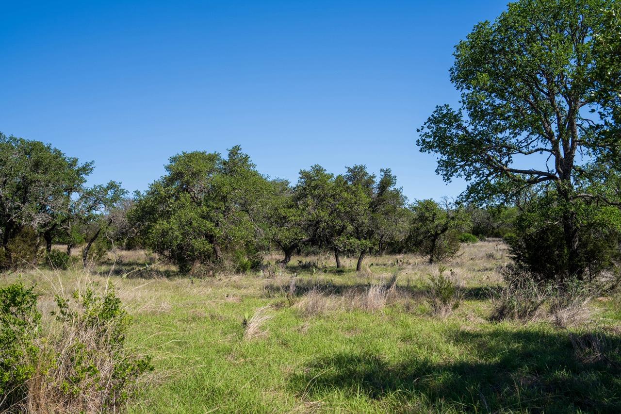 62 Balcones Dr, Johnson City, TX 78636