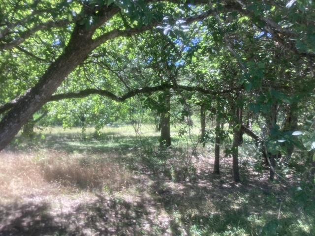 24418 Cottonwood Dr, Leander, TX 78641