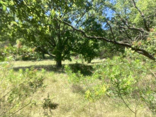 24418 Cottonwood Dr, Leander, TX 78641