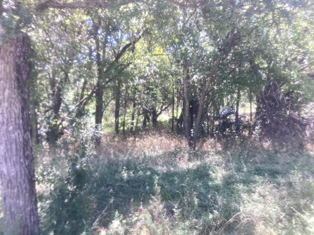 24418 Cottonwood Dr, Leander, TX 78641