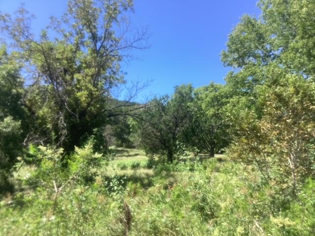 24418 Cottonwood Dr, Leander, TX 78641