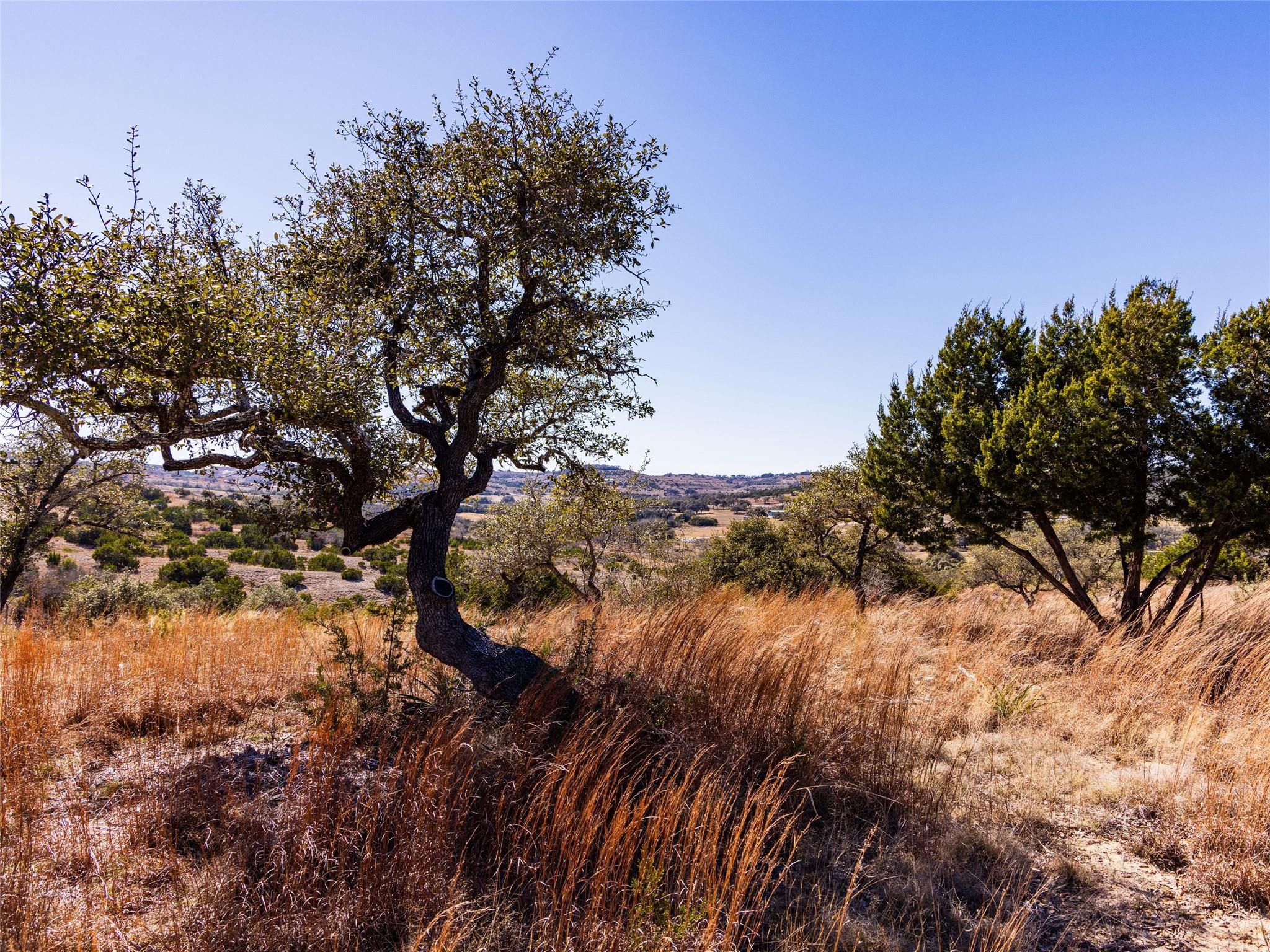 717 N Scenic Hills Ct # Lot 18, Blanco, TX 78606