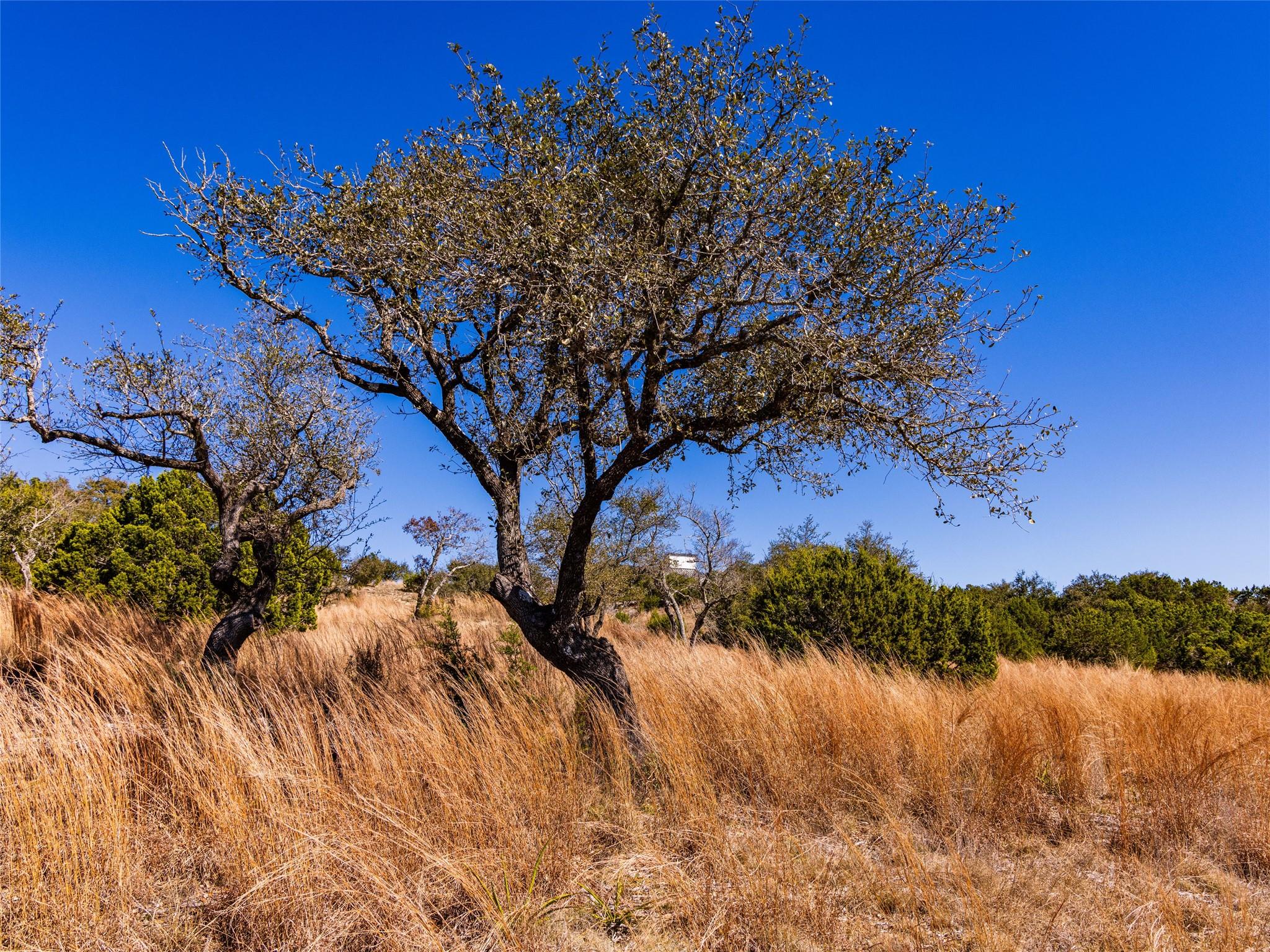 717 N Scenic Hills Ct # Lot 18, Blanco, TX 78606