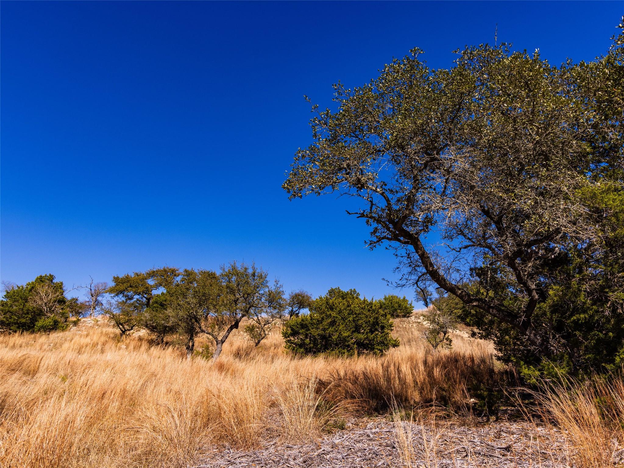 717 N Scenic Hills Ct # Lot 18, Blanco, TX 78606