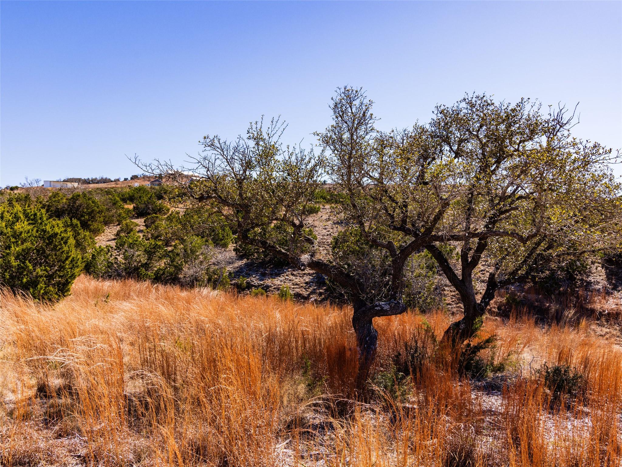 717 N Scenic Hills Ct # Lot 18, Blanco, TX 78606