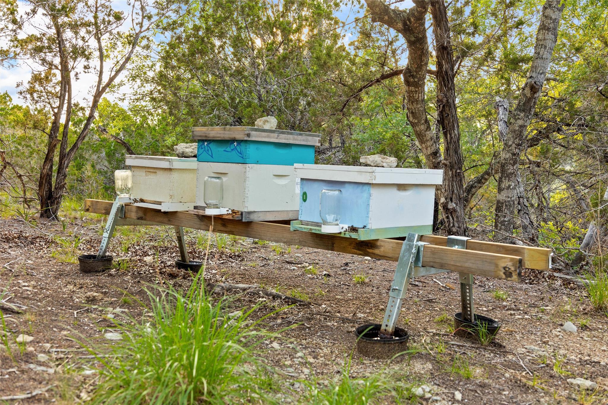 900 Lost Valley Rd, Dripping Springs, TX 78620