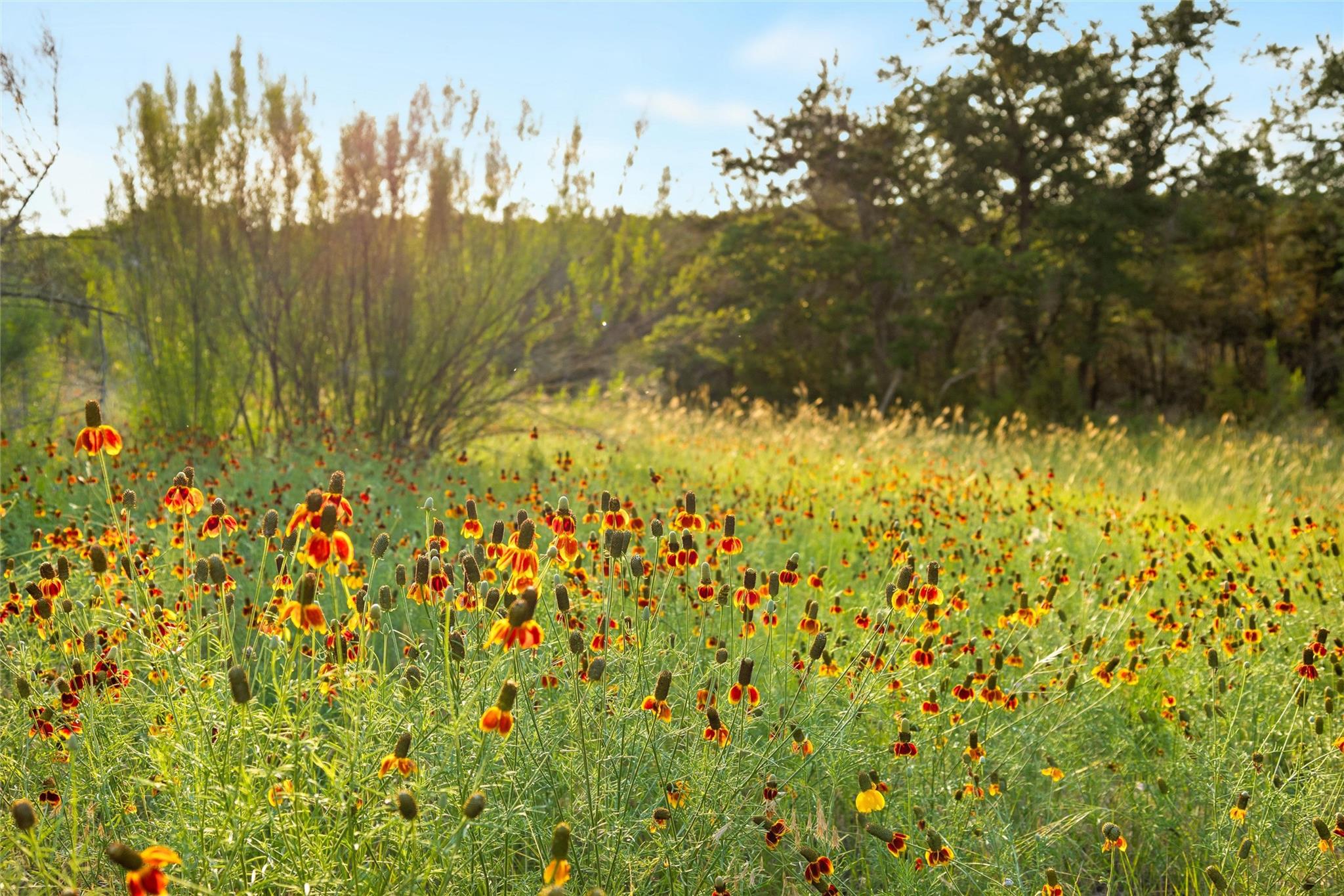 900 Lost Valley Rd, Dripping Springs, TX 78620