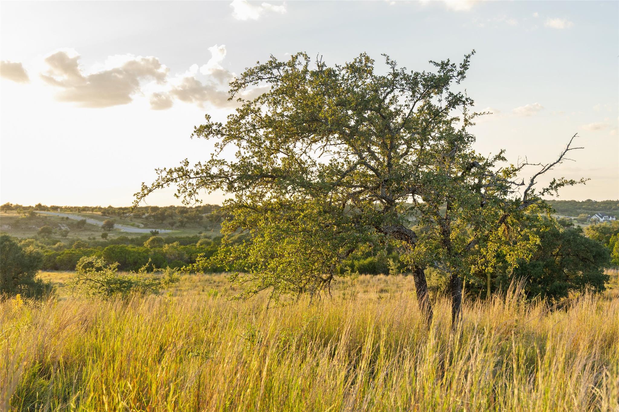 Lot 68 W Leaning Madrone Dr, Johnson City, TX 78636
