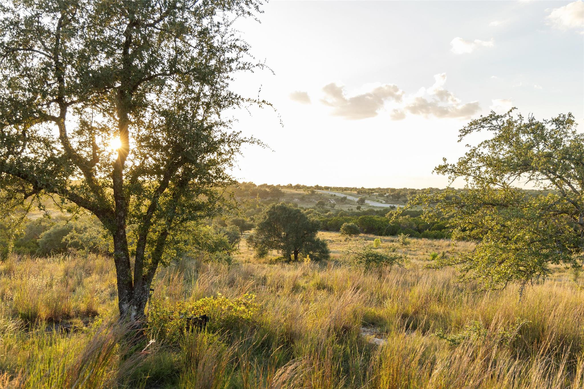 Lot 68 W Leaning Madrone Dr, Johnson City, TX 78636