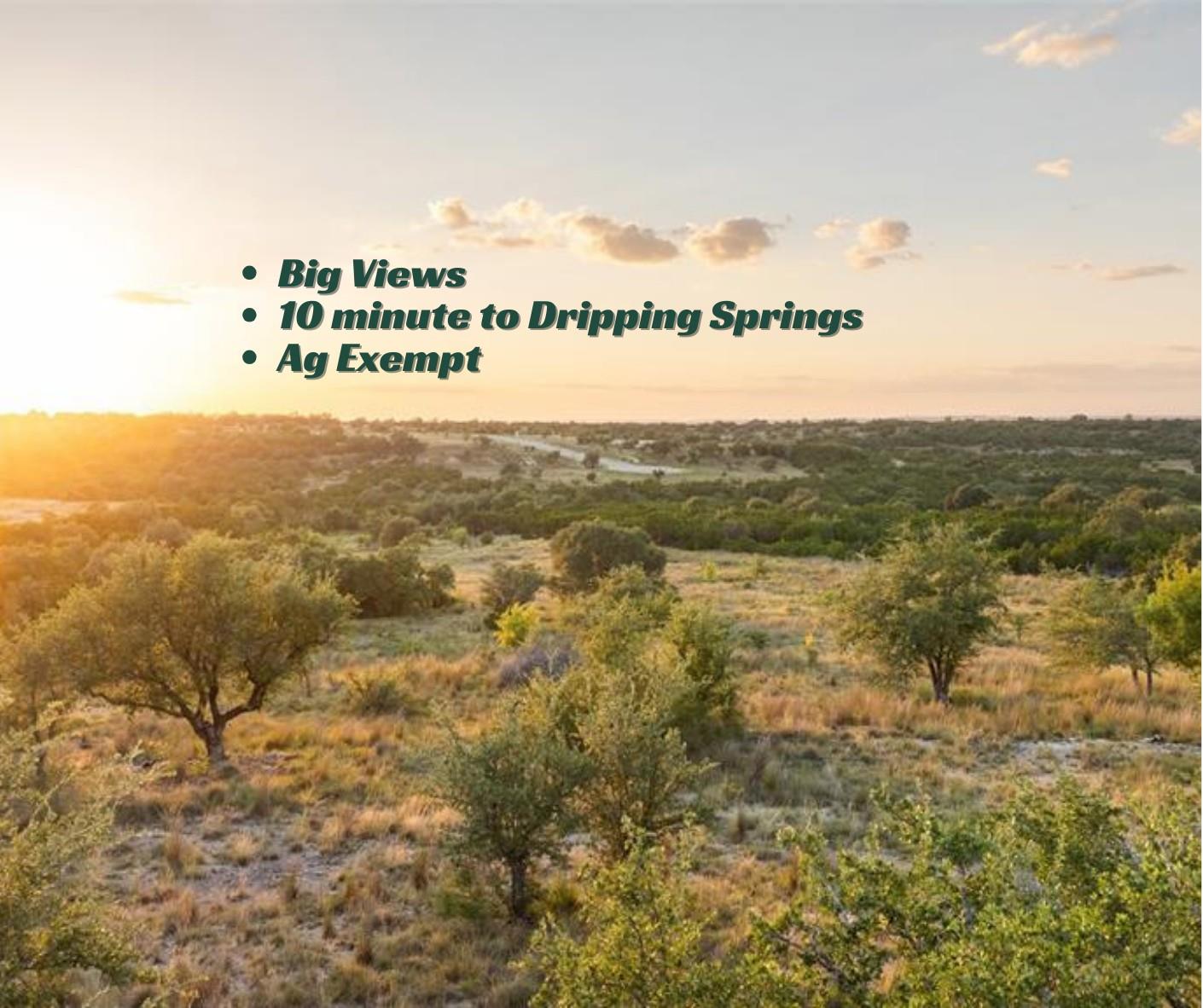 Lot 68 W Leaning Madrone Dr, Johnson City, TX 78636