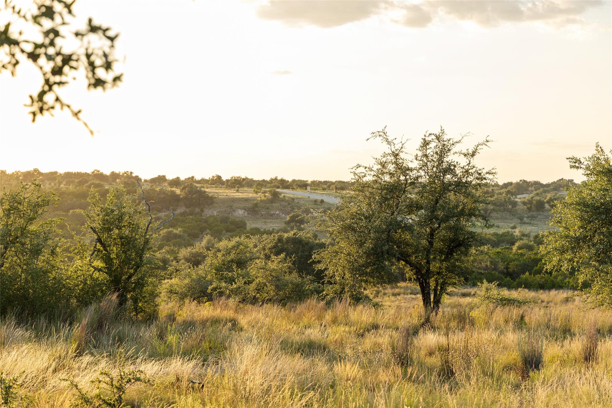 Lot 68 W Leaning Madrone Dr, Johnson City, TX 78636